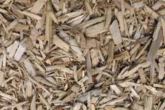 biomass boilers Pontrhydfendigaid