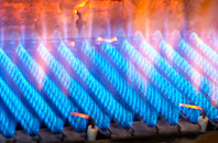 Pontrhydfendigaid gas fired boilers
